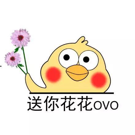 黑哥爆料的视频的微博,揭秘幕后真相，带你走进事件核心